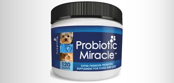 editor's choice probiotics cats